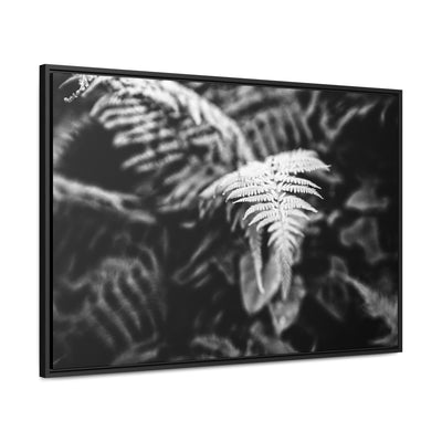 Calming Fern Art Framed Canvas Wrap