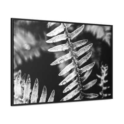 Calming Artwork - Black and White Fern Framed Canvas Art Print