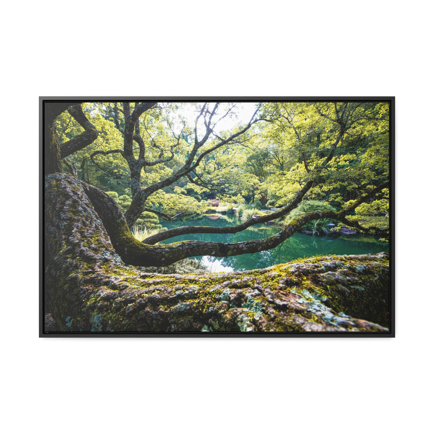 Flowing Tree Branches by a Pond Framed Canvas Art Print