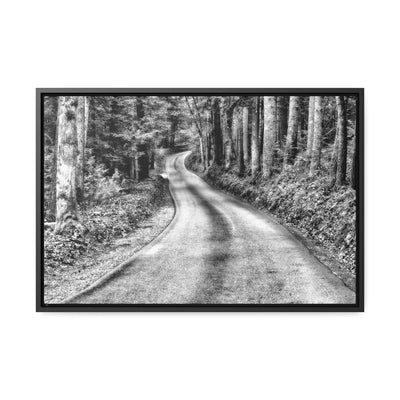 Black and White Mountain Road Art Print