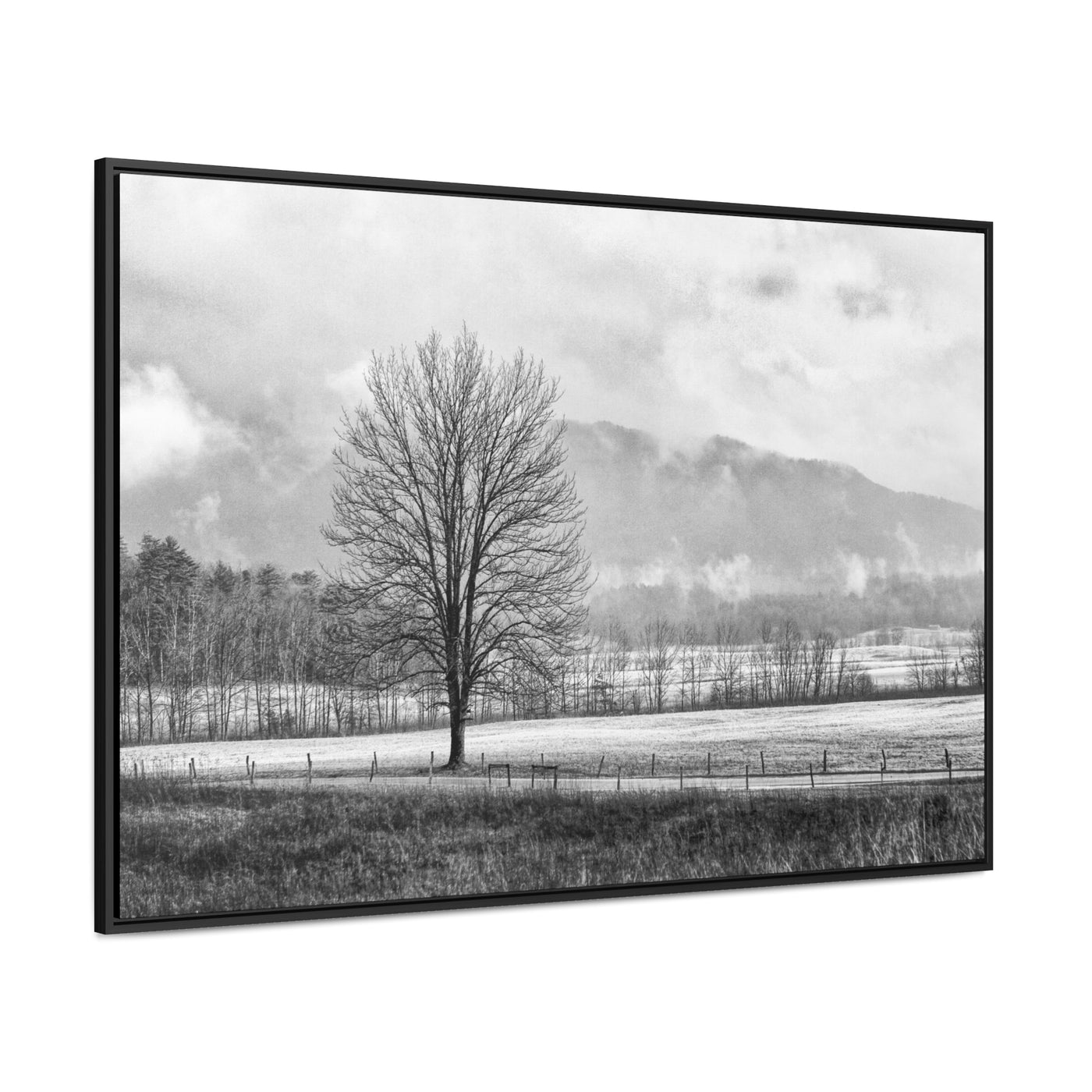 Black and White Tree and Country Road Framed Canvas Art Print