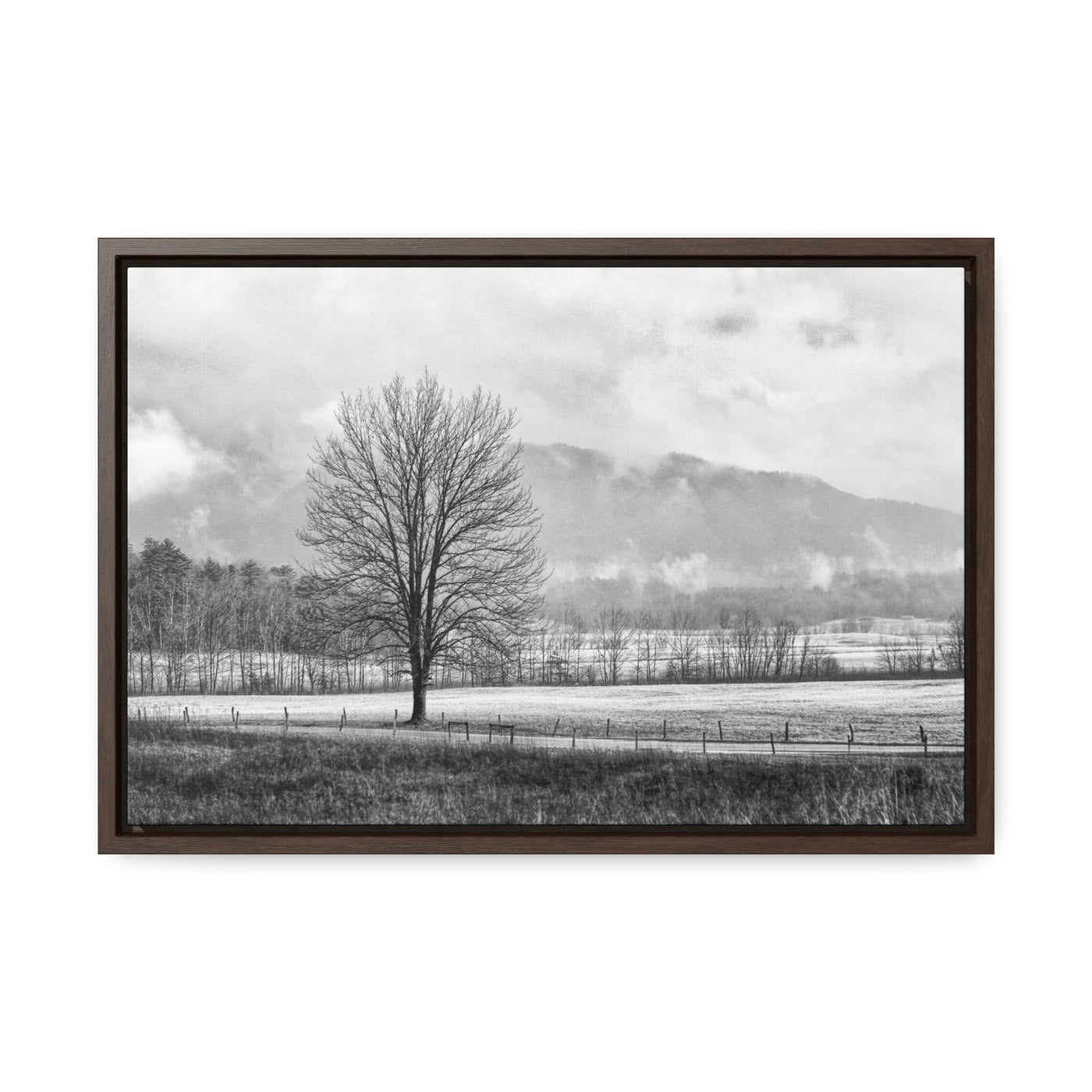 Black and White Tree and Country Road Framed Canvas Art Print