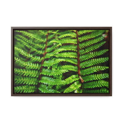 Beautiful Fern Framed Canvas Wall Art