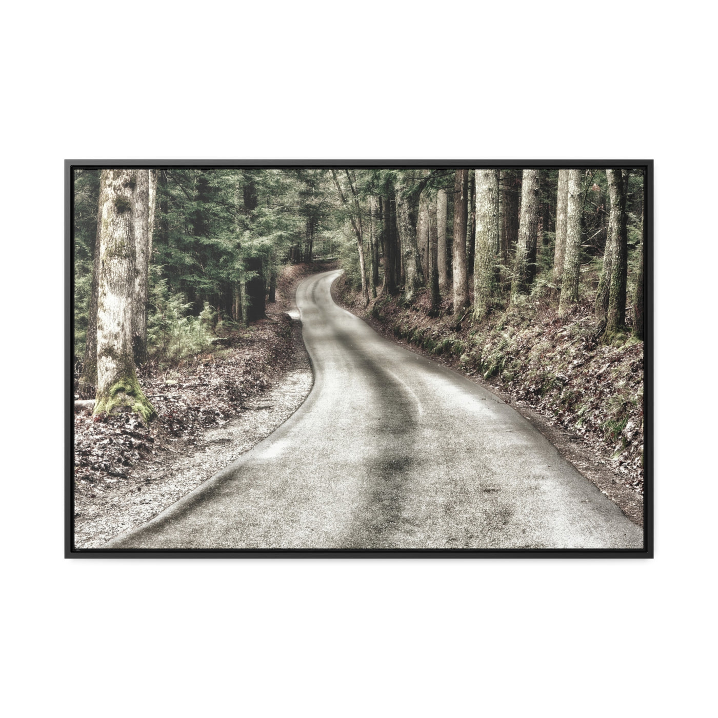 Rustic Mountain Road Framed Canvas Art Print