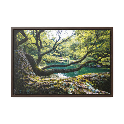 Flowing Tree Branches by a Pond Art Print