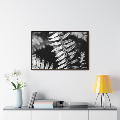 Calming Artwork - Black and White Fern Framed Canvas Art Print