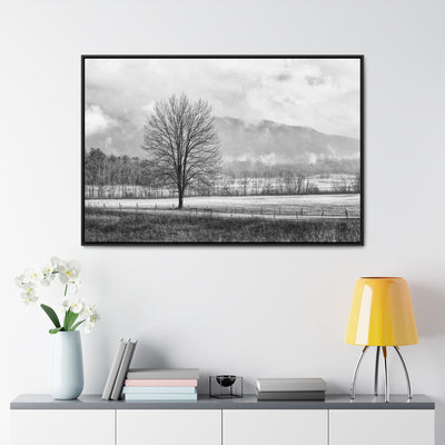 Black and White Tree and Country Road Framed Canvas Art Print