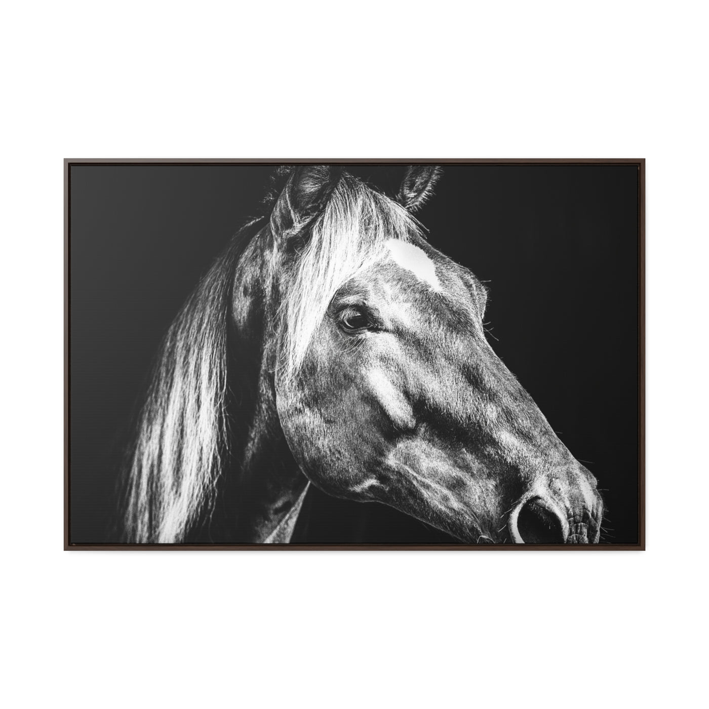 Black and White Horse Art Framed Canvas Print