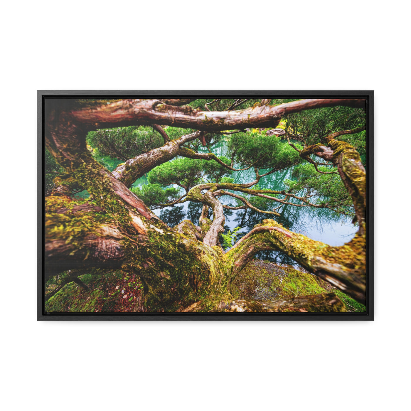 Tree by a Pond Rustic Farmhouse Decor Framed Canvas Art Print