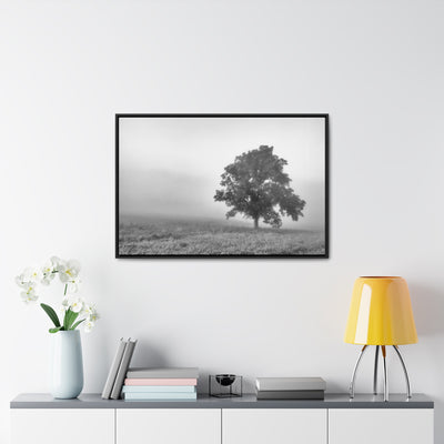 Tree in a Foggy Field Black and White Framed Canvas Print