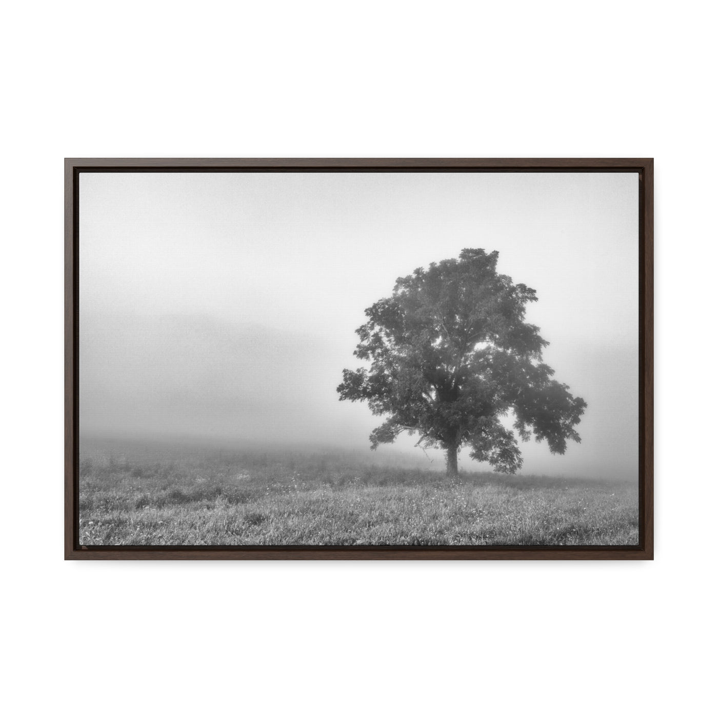 Tree in a Foggy Field Black and White Print