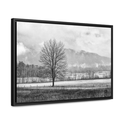 Black and White Tree and Country Road Framed Canvas Art Print