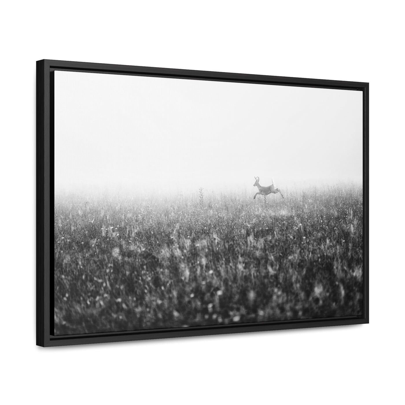 Whitetail Buck Jumping Black and White Framed Canvas Art