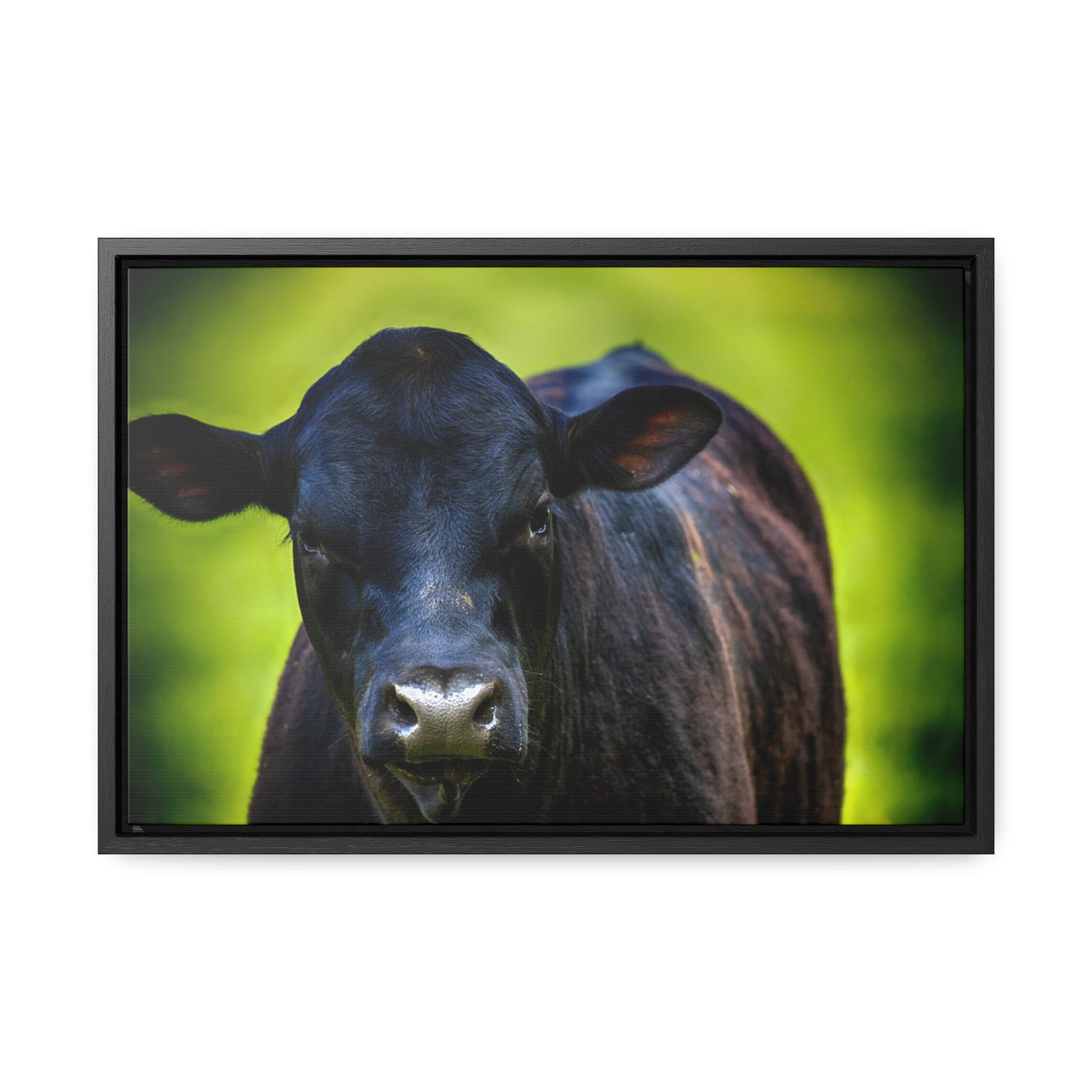 Framed Cow Wall Art