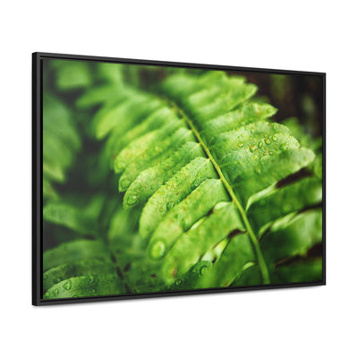 Fern Framed Canvas Calm Artwork