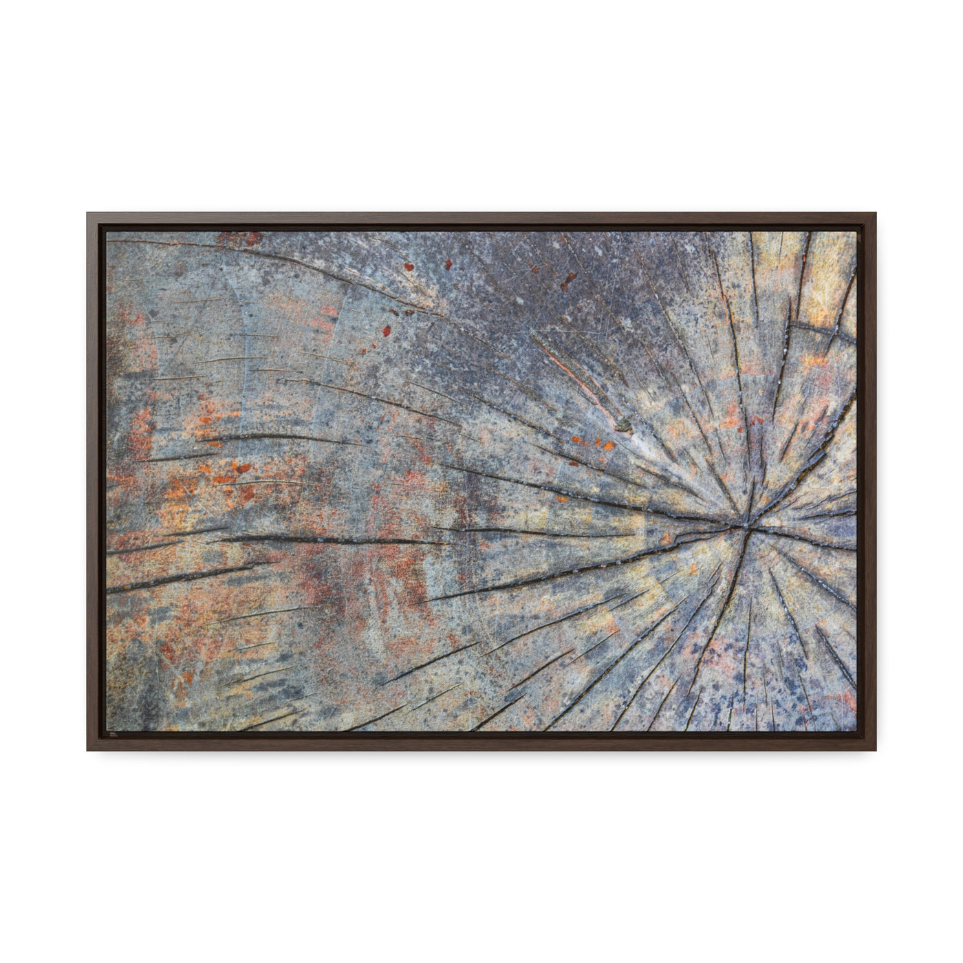 Tree Stump Rings Framed Canvas Rustic Art Print