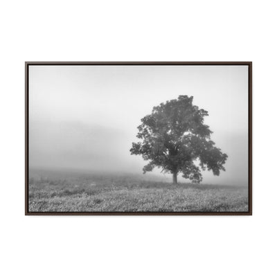 Tree in a Foggy Field Black and White Print