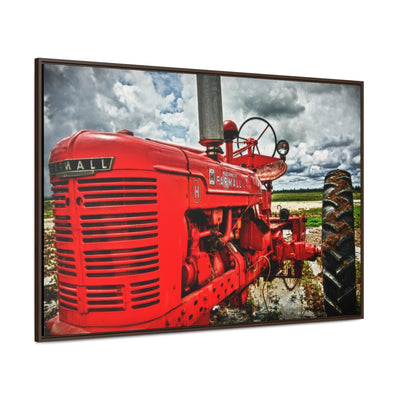 Red Tractor Farmall Framed Canvas Art Print