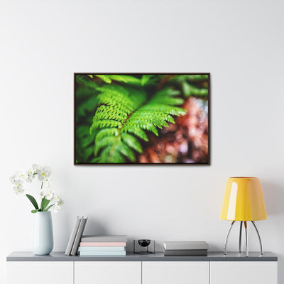 Fern Relaxing Framed Canvas Wall Art