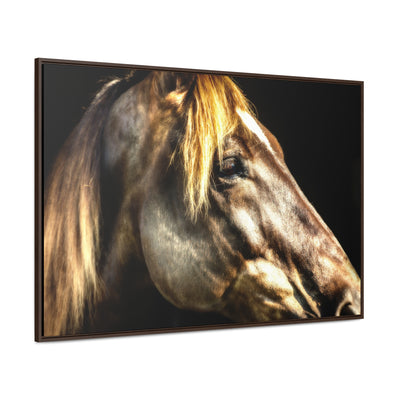 Horse Art Framed Canvas Print