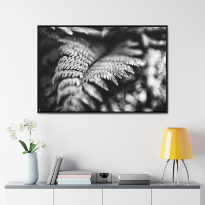 Black and White Fern Framed Canvas Art Prints