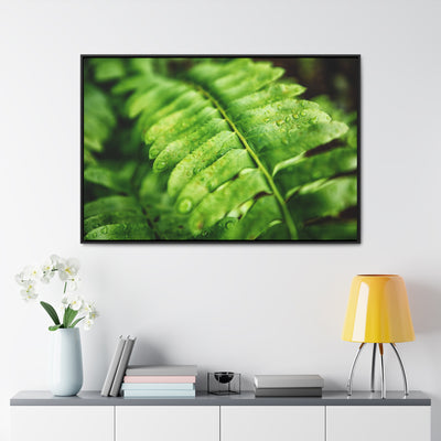 Fern Framed Canvas Calm Artwork