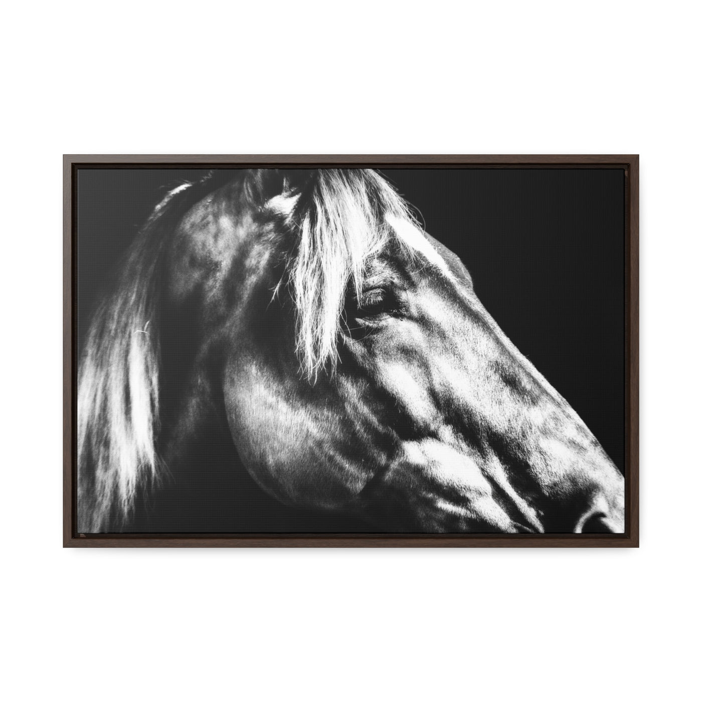 Black and White Horse Art Framed Canvas Wrap