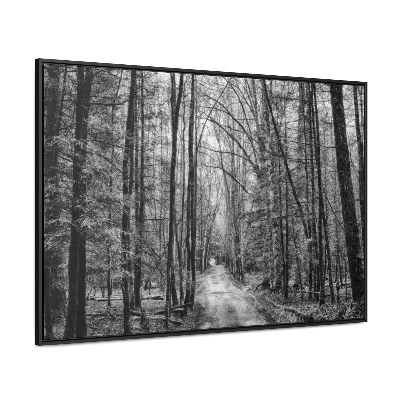 Dirt Road Black and White Framed Canvas Wrap