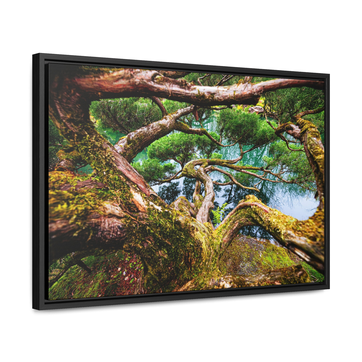 Tree by a Pond Rustic Farmhouse Decor Framed Canvas Art Print