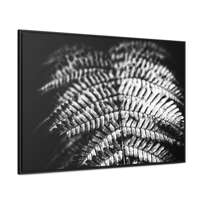 Relaxing Spa Art Black and White Fern Framed Canvas