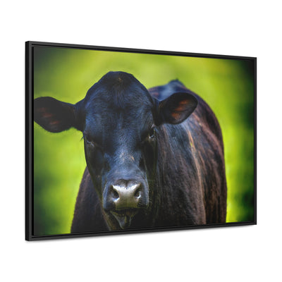 Framed Cow Wall Art