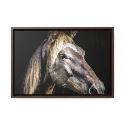 Rustic Horse Framed Canvas Art Print