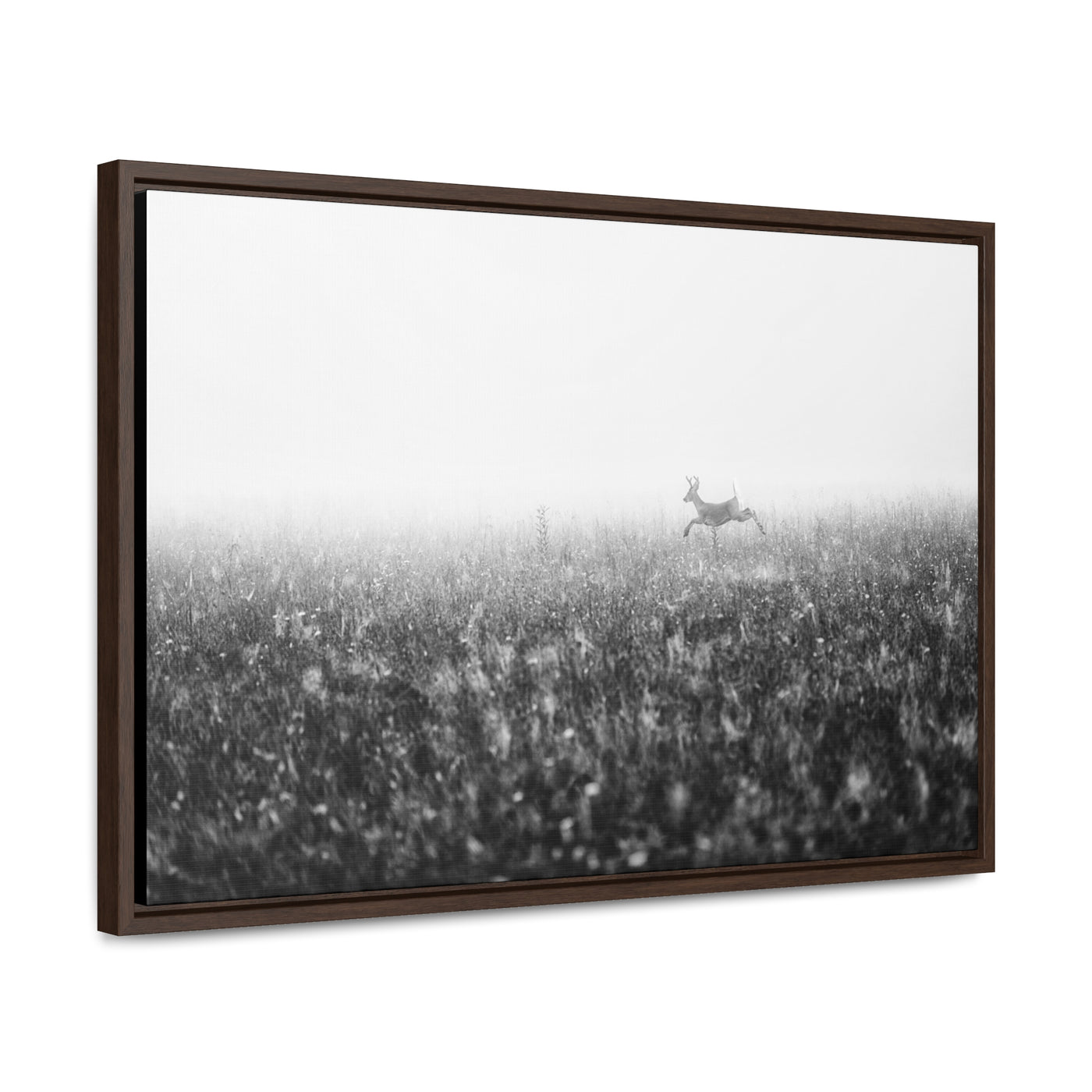 Whitetail Buck Jumping Black and White Framed Canvas Art