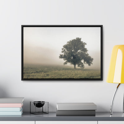 Tree in a Field Framed Canvas Wall Art Print