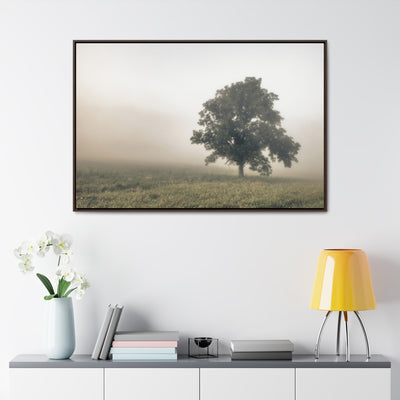 Tree in a Field Framed Canvas Wall Art Print