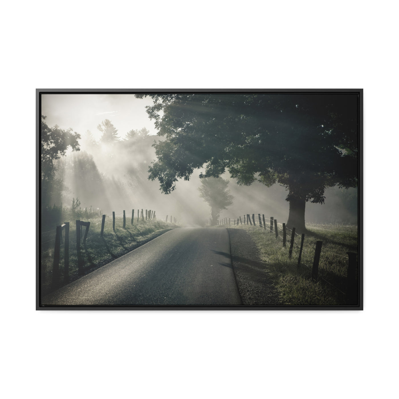 Old Country Road Art Print