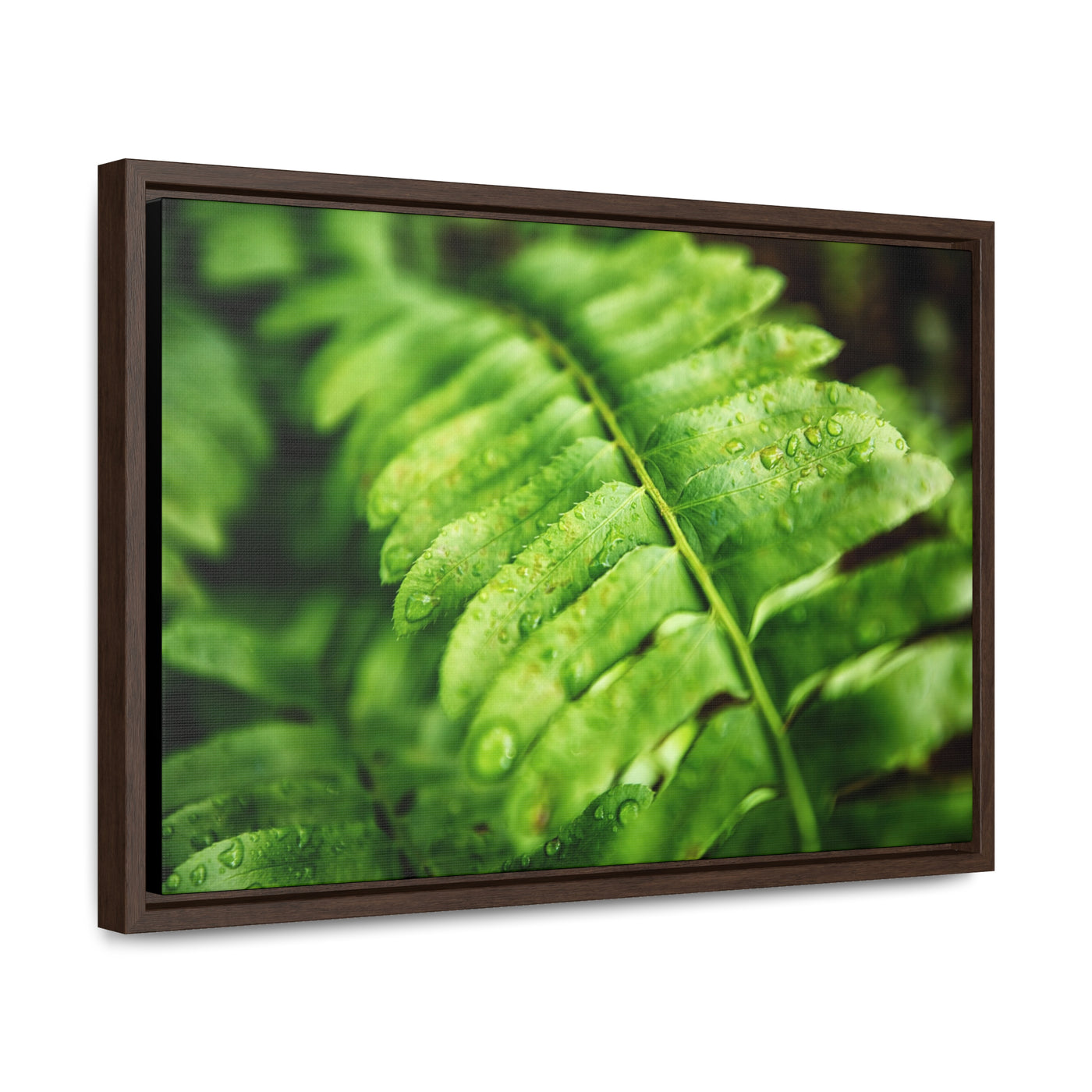 Fern Framed Canvas Calm Artwork