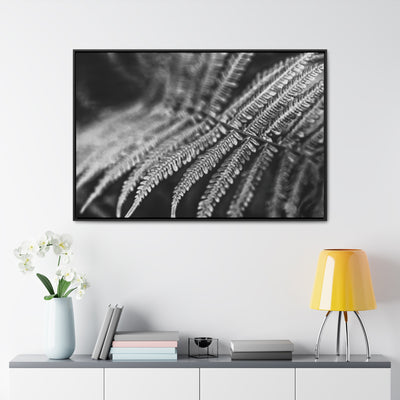 Relaxing Art Black and White Fern Framed Canvas Print