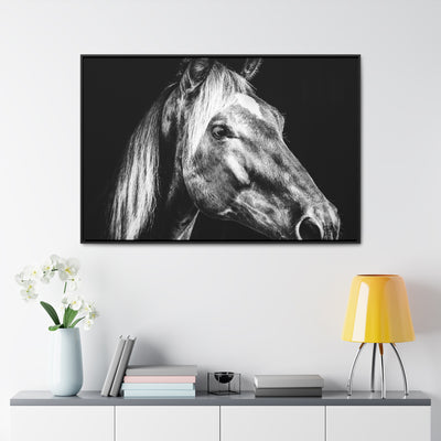 Black and White Horse Art Framed Canvas Print