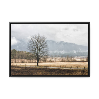 Winter Tree in a Field Framed Canvas Art Print