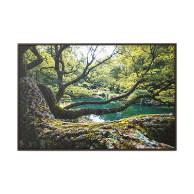 Flowing Tree Branches by a Pond Framed Canvas Art Print