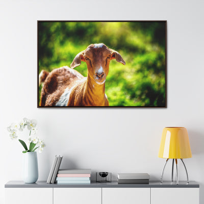 Framed Canvas Goat Art Print