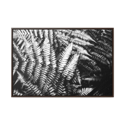 Black and White Ferns Framed Canvas Art Print - Calming Spa-Inspired Decor