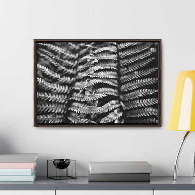 Black and White Fern Framed Canvas Art Print