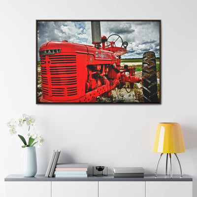 Red Tractor Farmall Framed Canvas Art Print