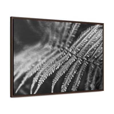 Relaxing Art Black and White Fern Framed Canvas Print