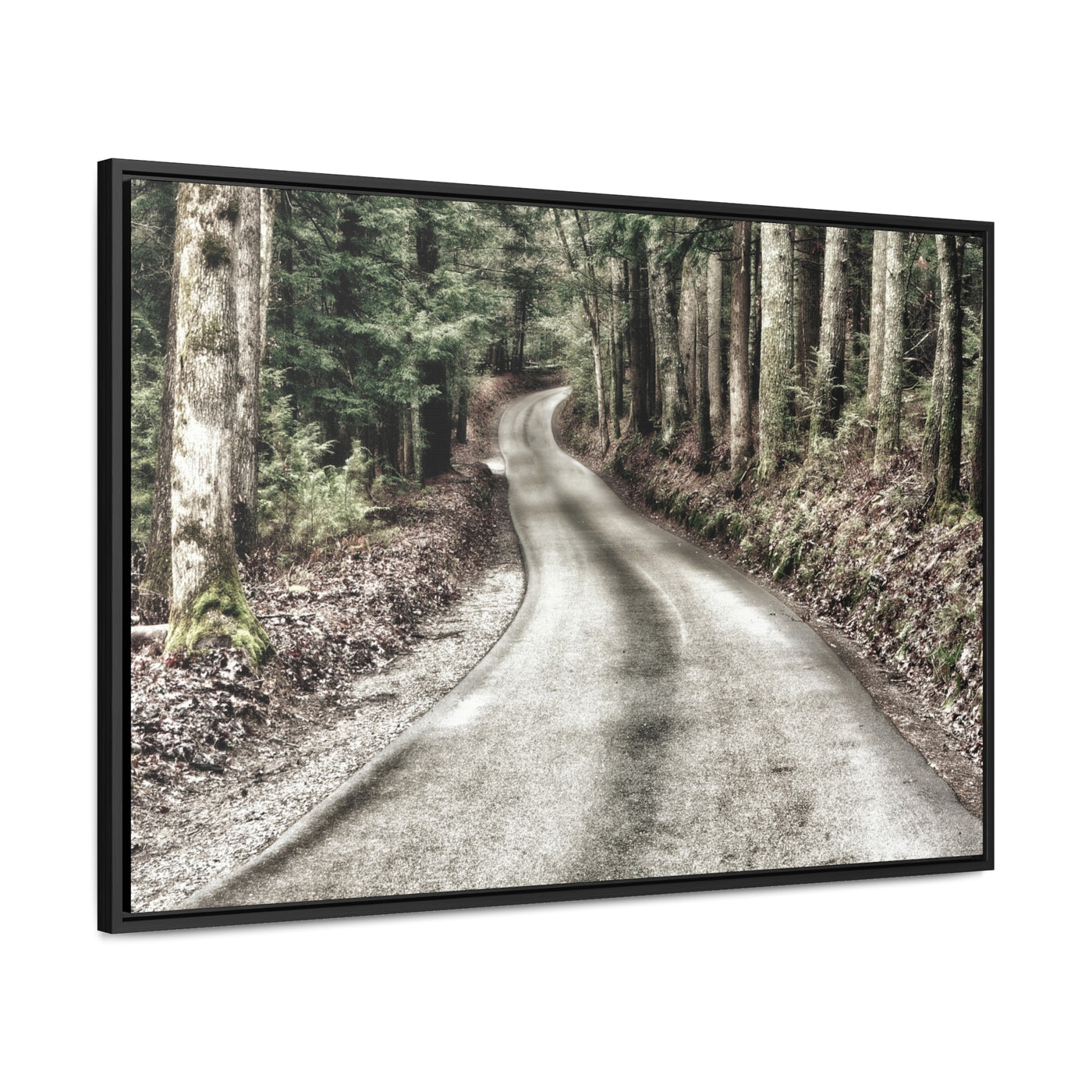 Rustic Mountain Road Framed Canvas Art Print