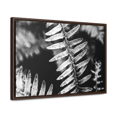 Calming Artwork - Black and White Fern Framed Canvas Art Print