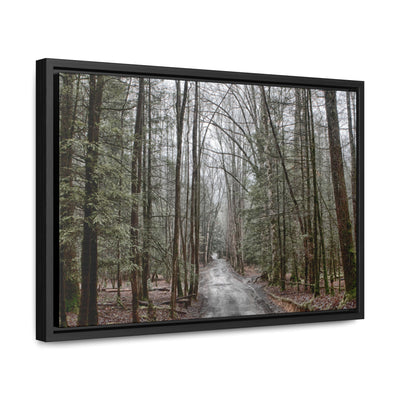 Mountain Road Framed Canvas Art