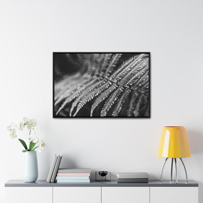 Relaxing Art Black and White Fern Framed Canvas Print